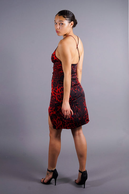 INDEED (mini dress)